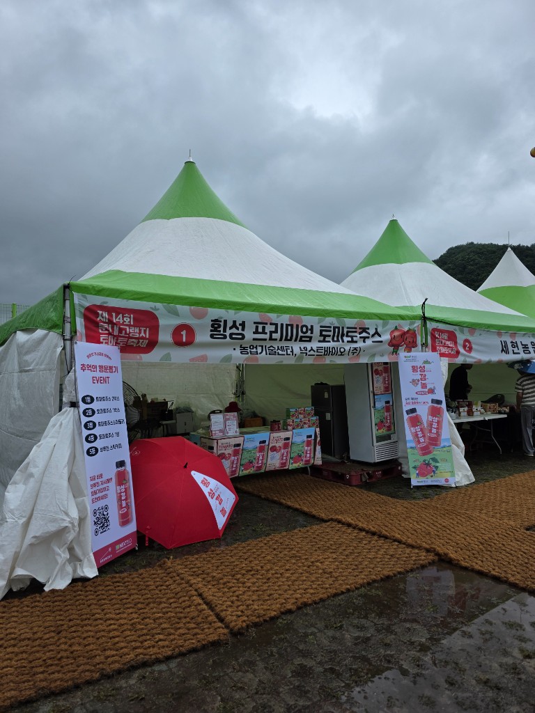 둔내고랭지토마토축제 완판 주인공, '횡성깜놀' 토마토주스!